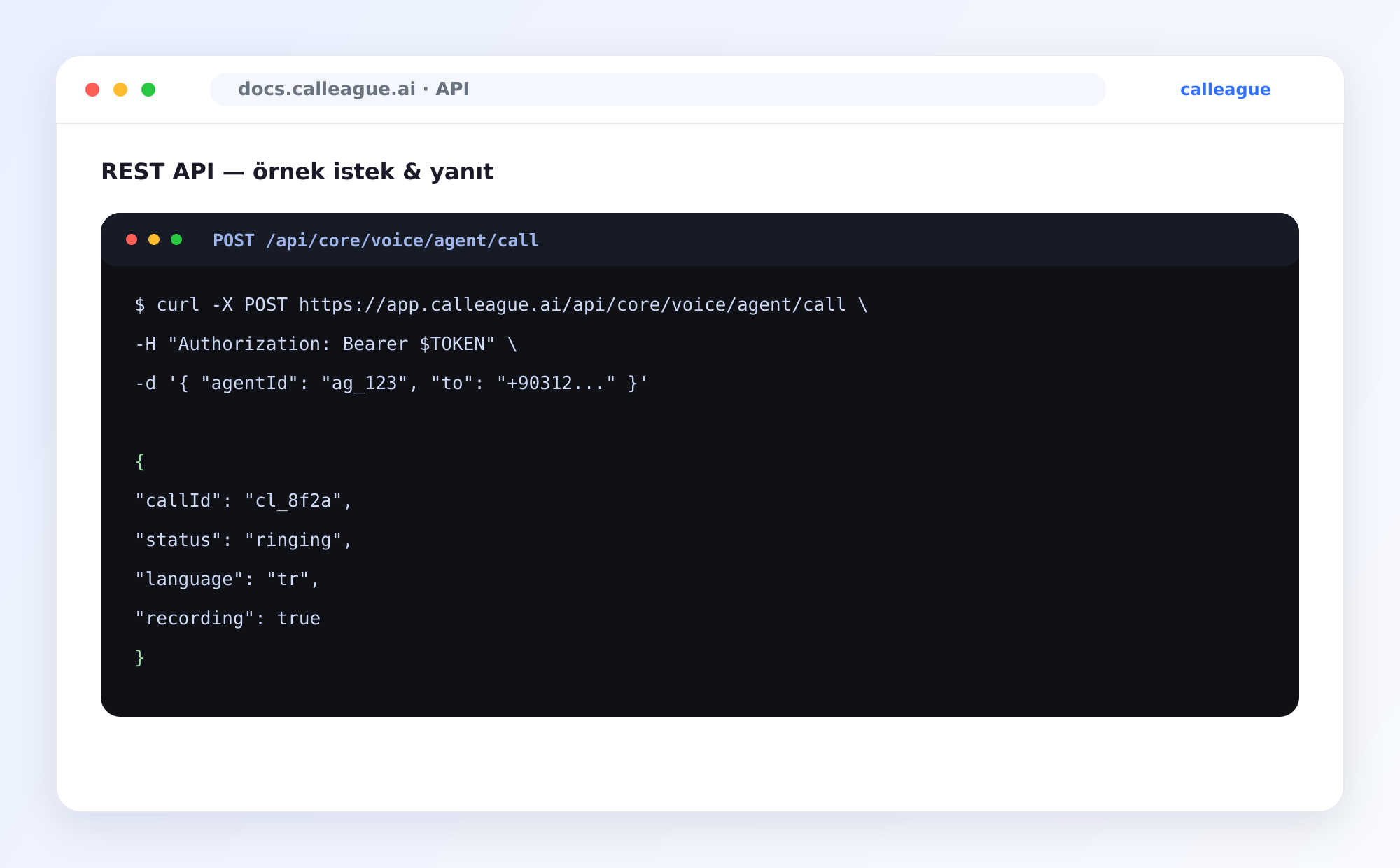 API example